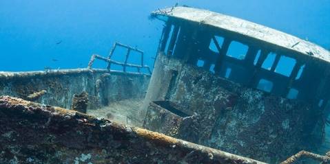 Les épaves : des cimetières marins qui donnent vie à l’océan